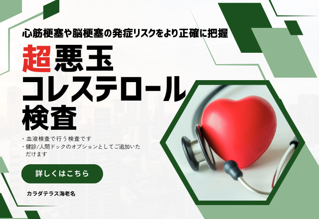オプション検査・超悪玉コレステロール